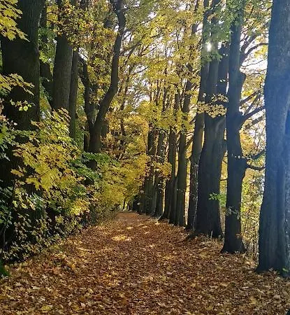 アパート Szmaragdowy