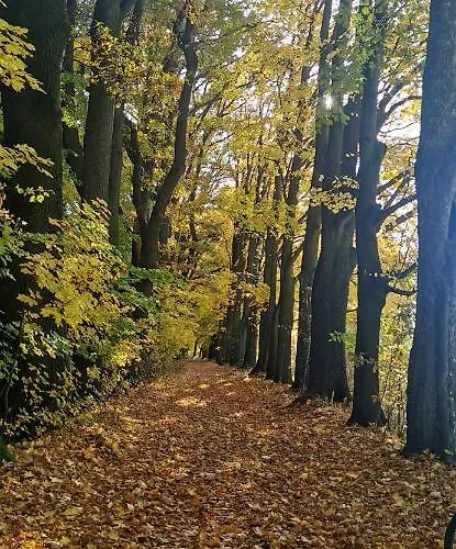 Appartement Szmaragdowy